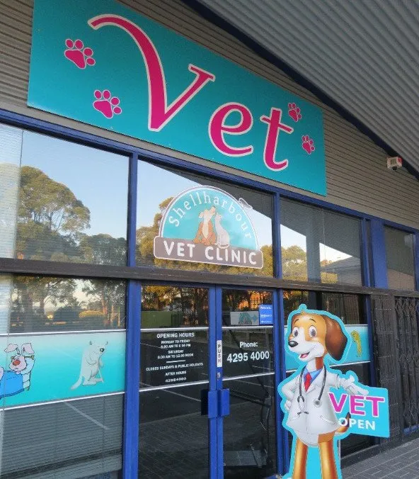 Veterinarians in Shellharbour | Shellharbour Veterinary Clinic