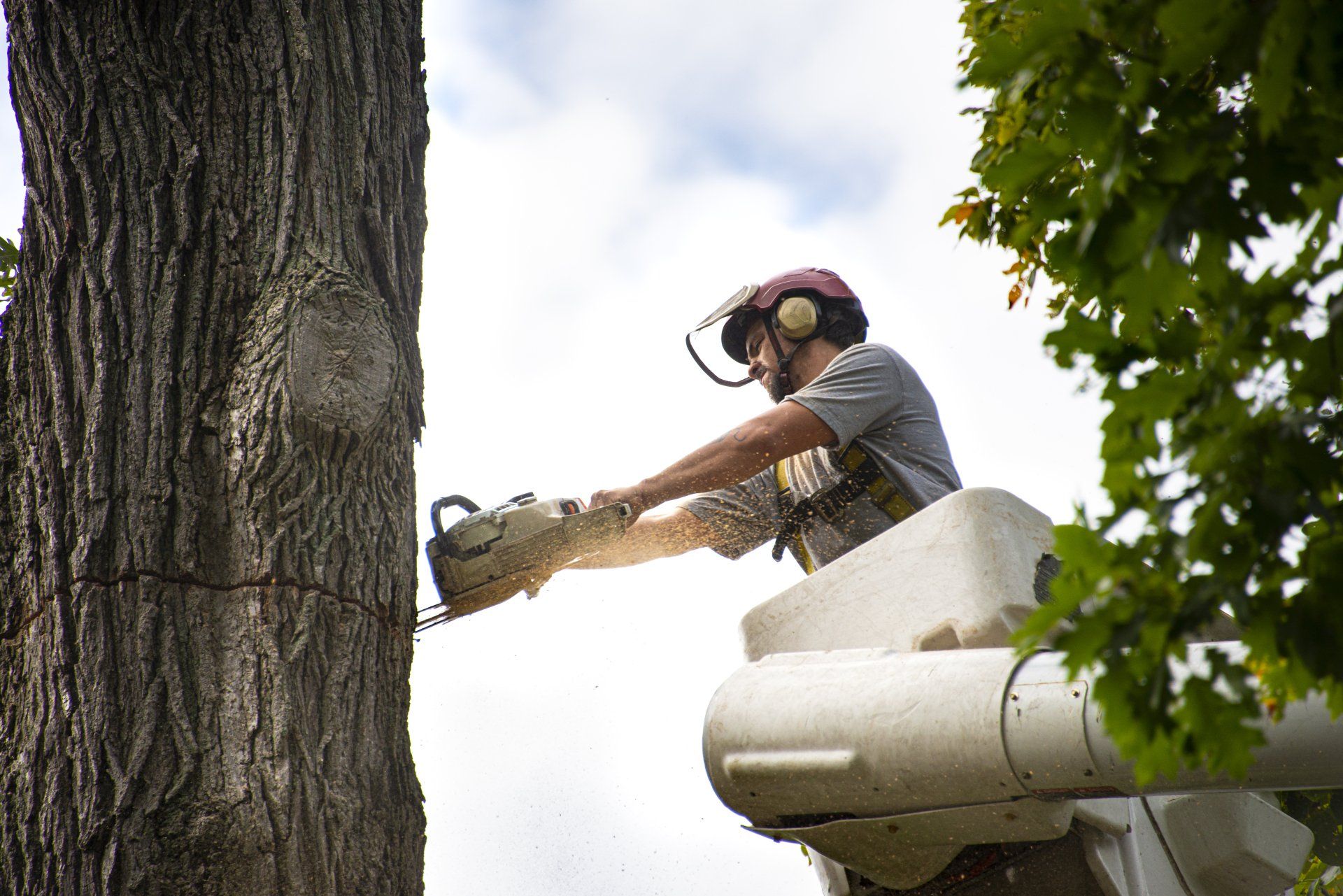 Man Cutting Tree With Crane | Sterling Heights, MI | J.H. Hart Urban Forestry