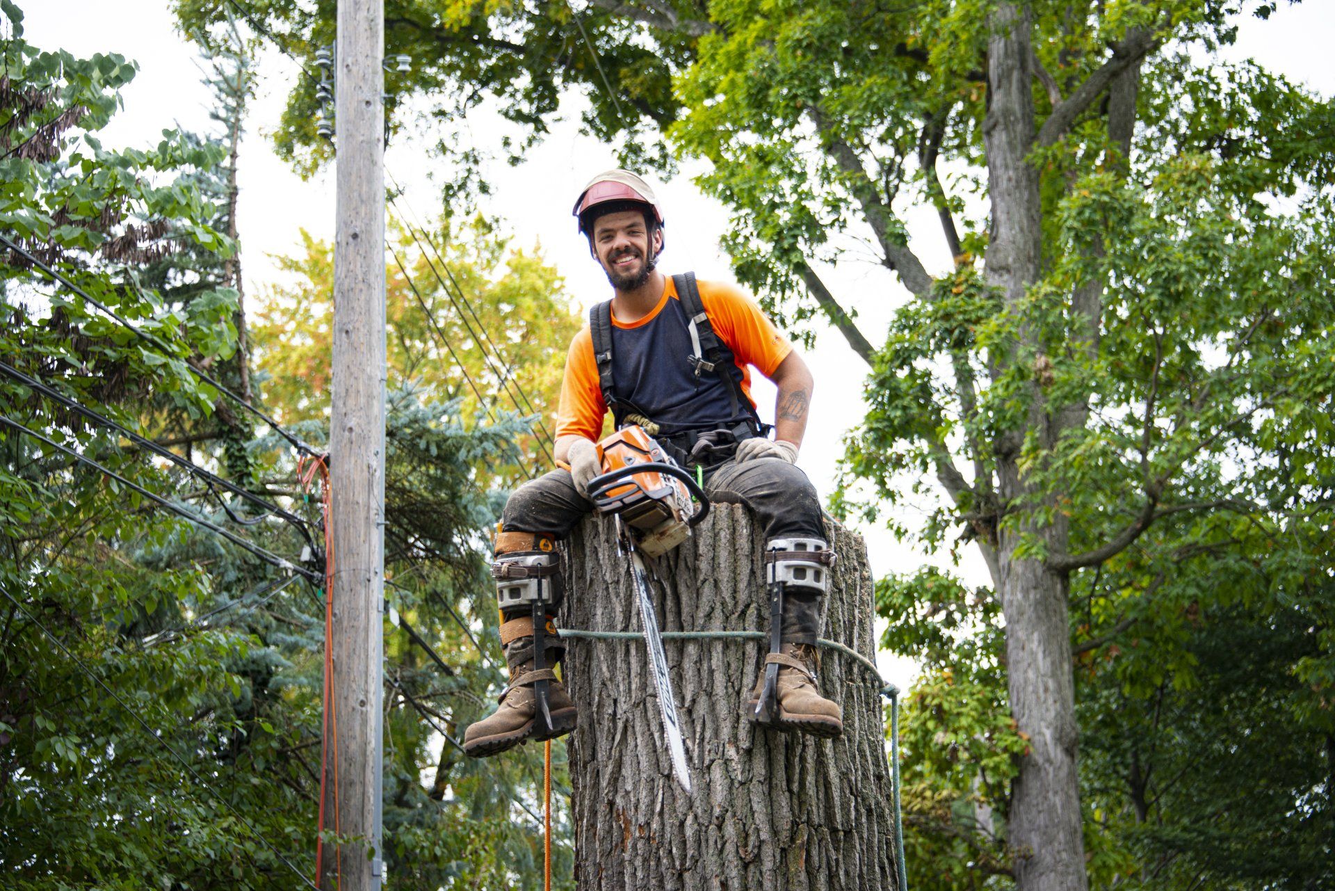 Man Smiling On Tree | Sterling Heights, MI | J.H. Hart Urban Forestry