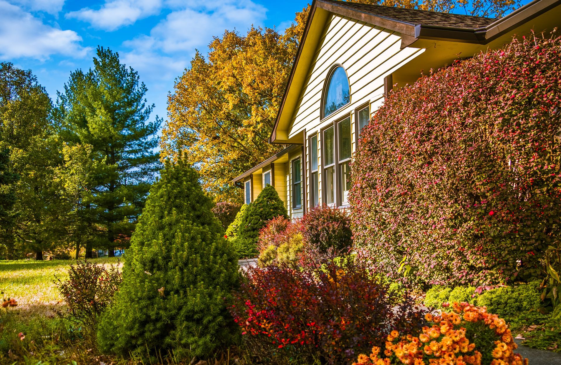 A house with light siding and an arched window, surrounded by colorful autumn trees and shrubs under a sunny blue sky.