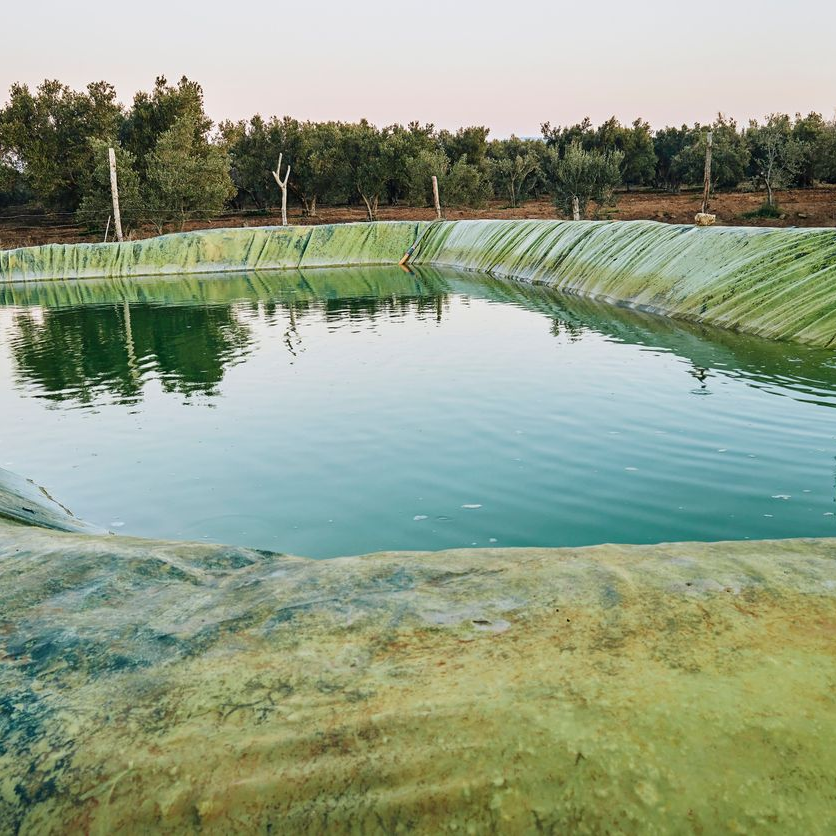 Large, green-lined  bio retention pond