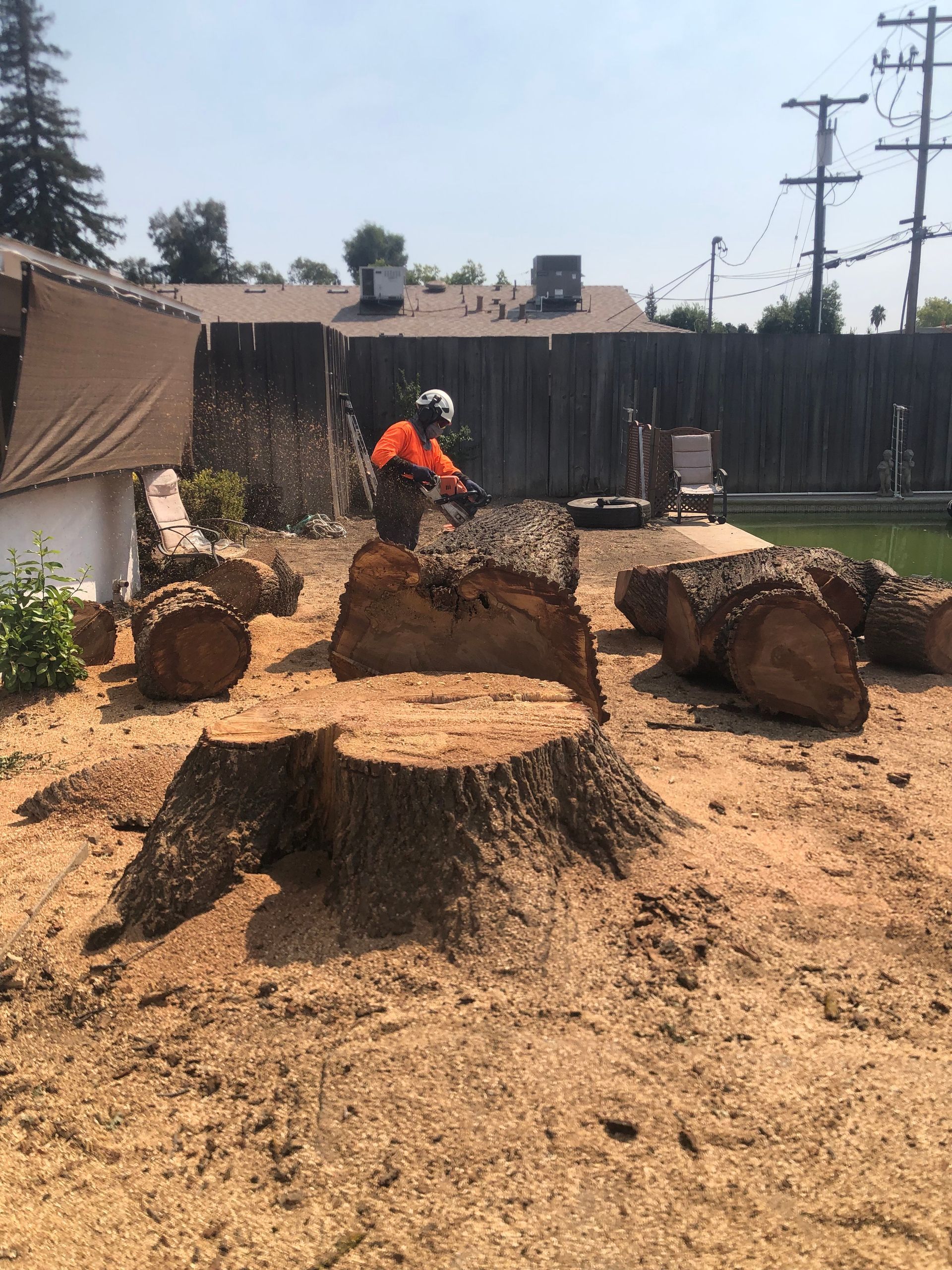 Man in orange gear using a chainsaw to cut a tree trunk. Other logs and a stump are visible outdoors.
