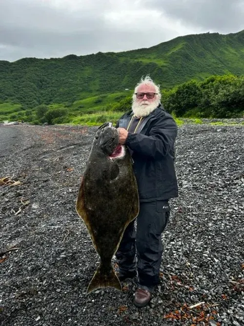 Man holding a large, dark-colored halibut on a pebble beach. Green hills in the background. Overcast sky.