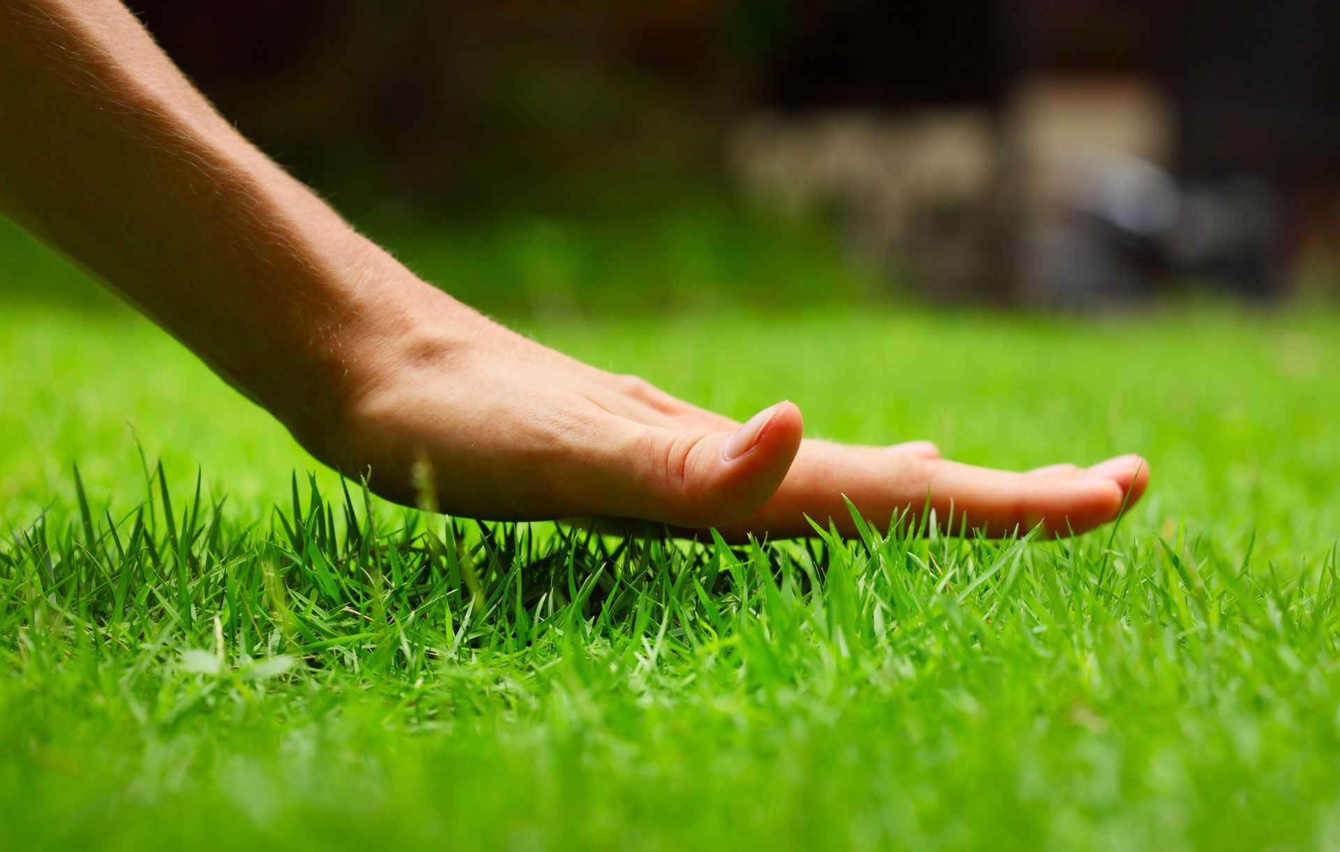 Lawn Fertilization in Berryville, AR Lawn Fertilization in Berryville, AR