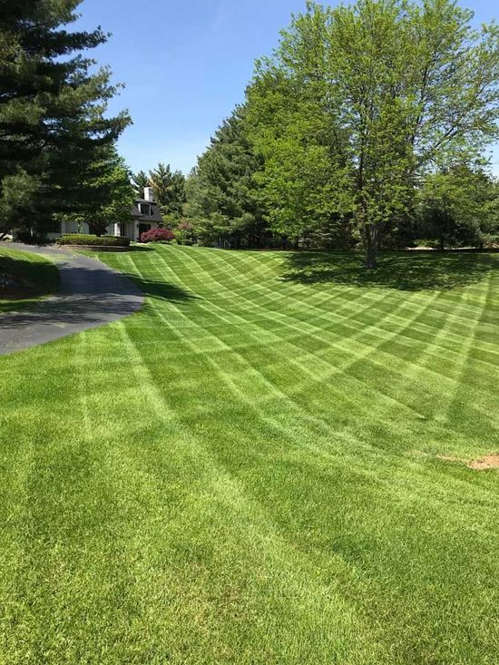 Lawn with diagonal stripes of varying shades of green, likely freshly mowed.