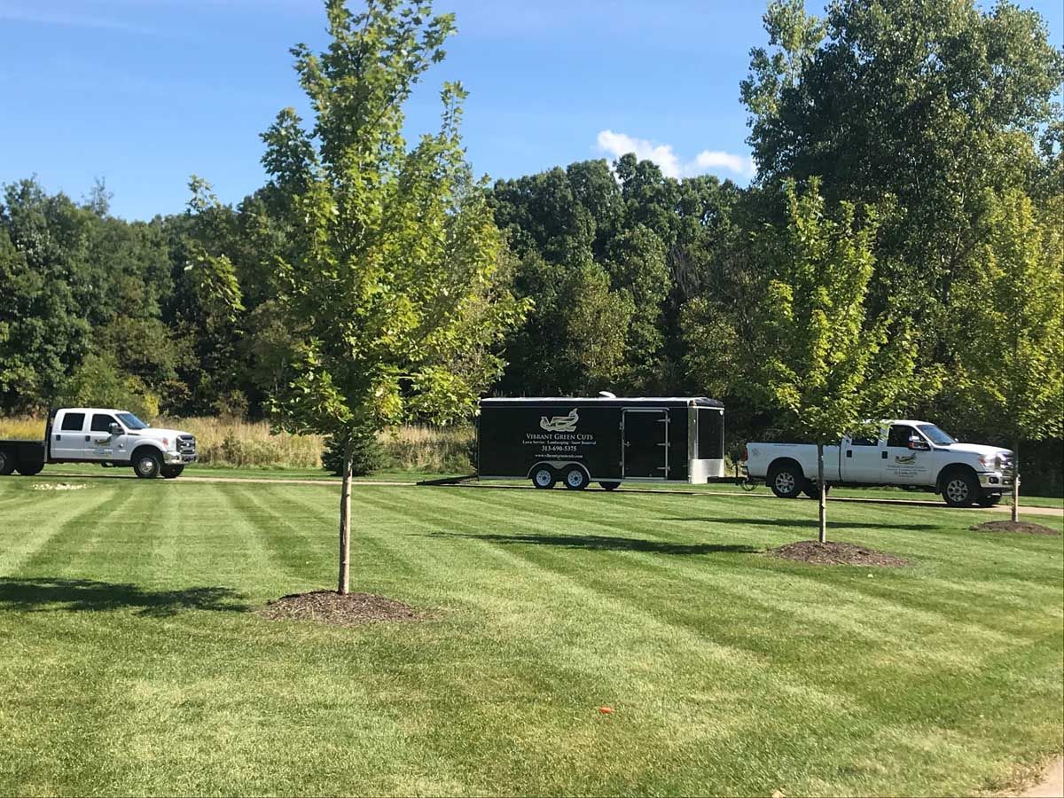 Blue spreader on green grass, person's foot visible, likely distributing fertilizer.