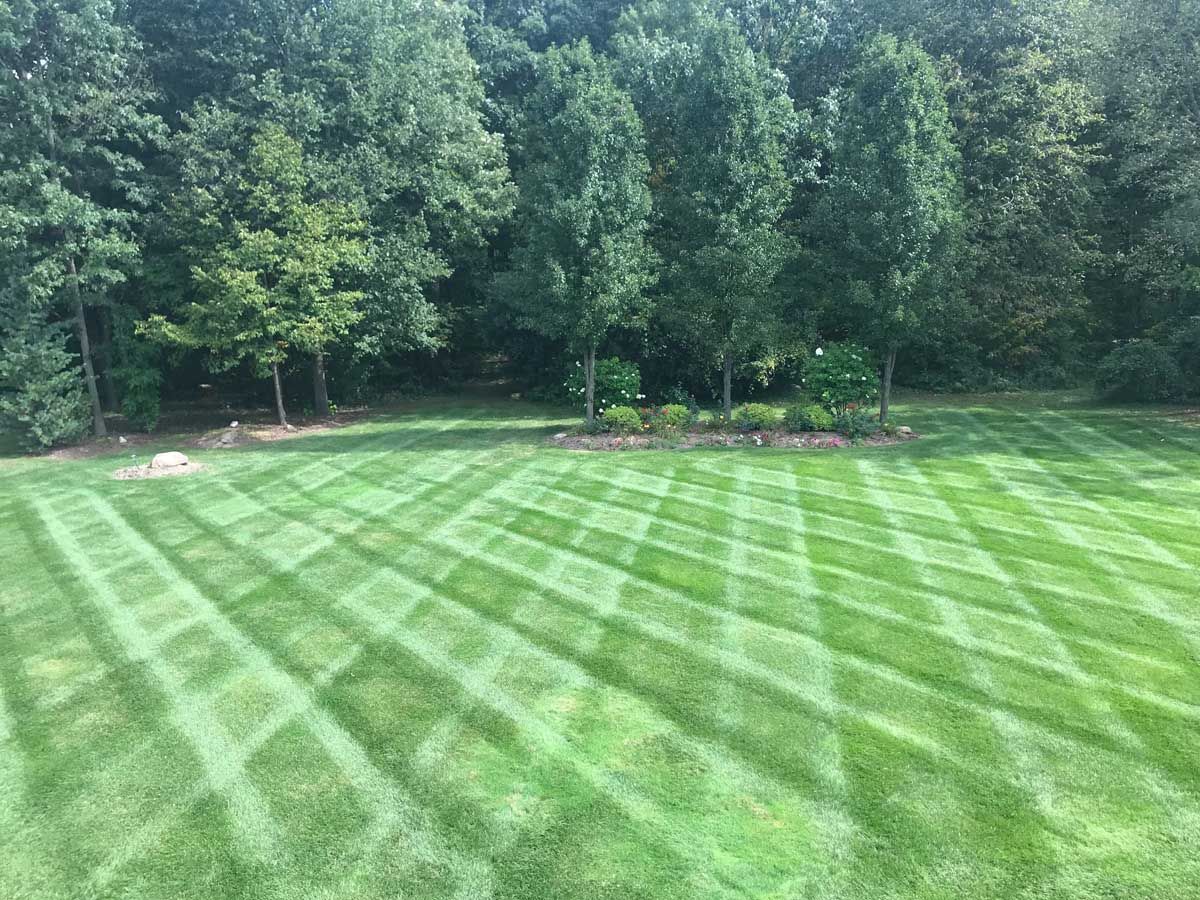 Blue spreader on green grass, person's foot visible, likely distributing fertilizer.