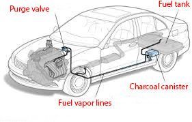 Diagram of a car showing the fuel system, highlighting fuel tank, charcoal canister, purge valve, and fuel vapor lines.