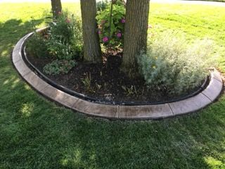 Concrete curb edging green grass beside a paved sidewalk