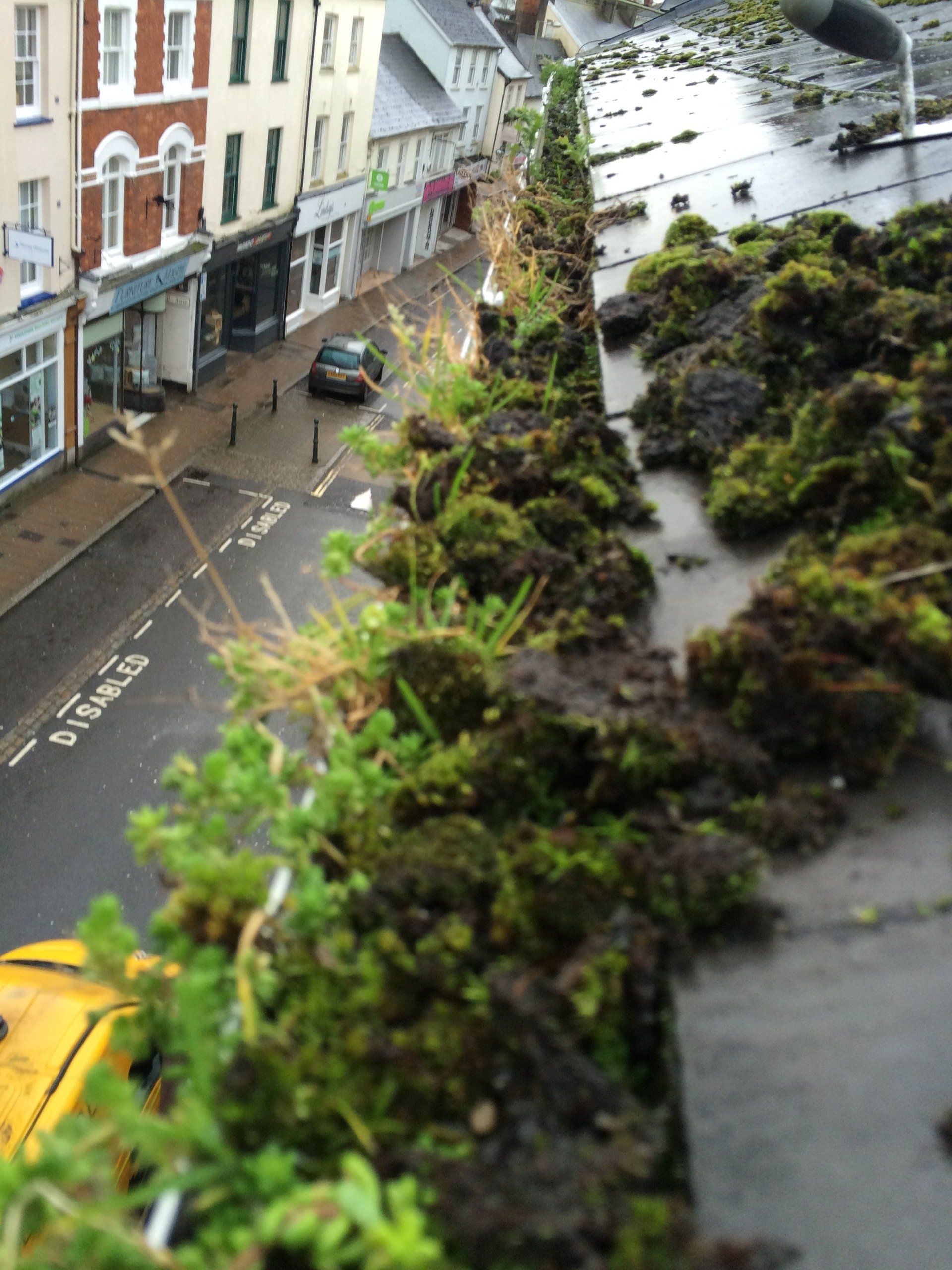 Roof Survey’s & Repairs