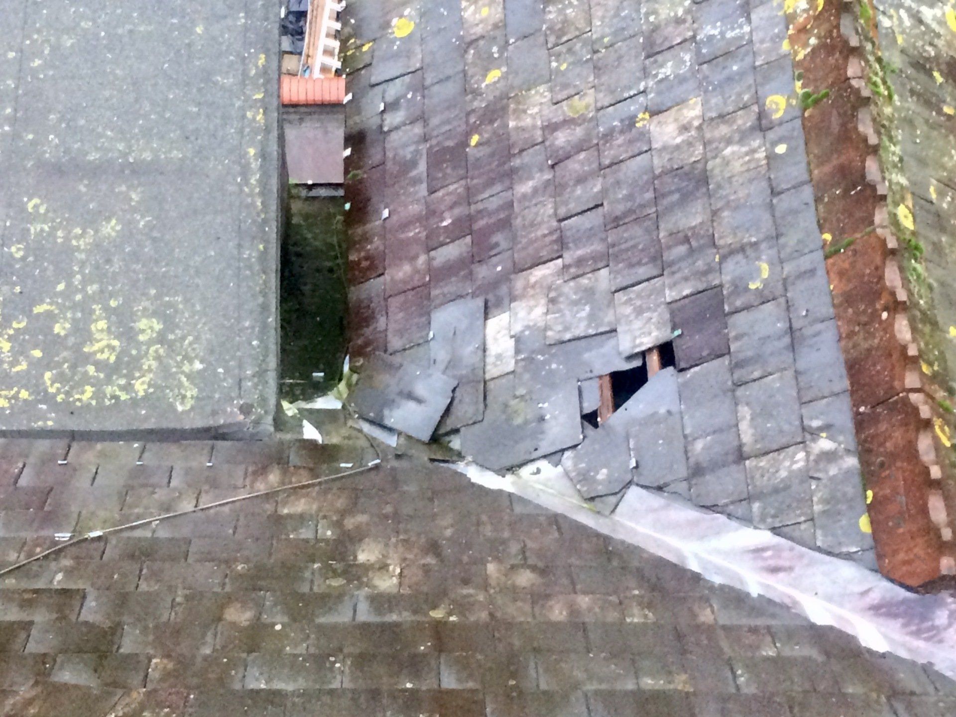 Roof Survey’s & Repairs