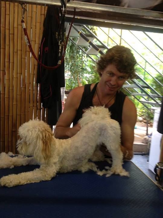 Grooming — Pet Stylist in Rapid Crook, NT