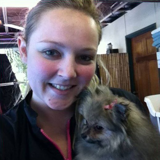 Long  Haired Chihuahua — Pet Stylist in Rapid Crook, NT