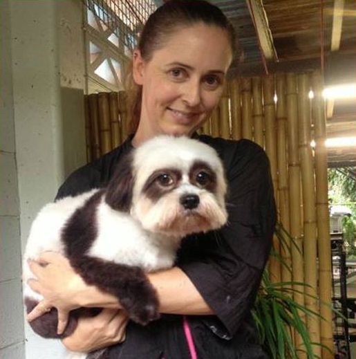 Panda Dog — Pet Stylist in Rapid Crook, NT