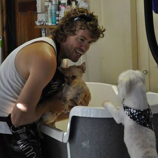 Small Dog — Pet Stylist in Rapid Crook, NT