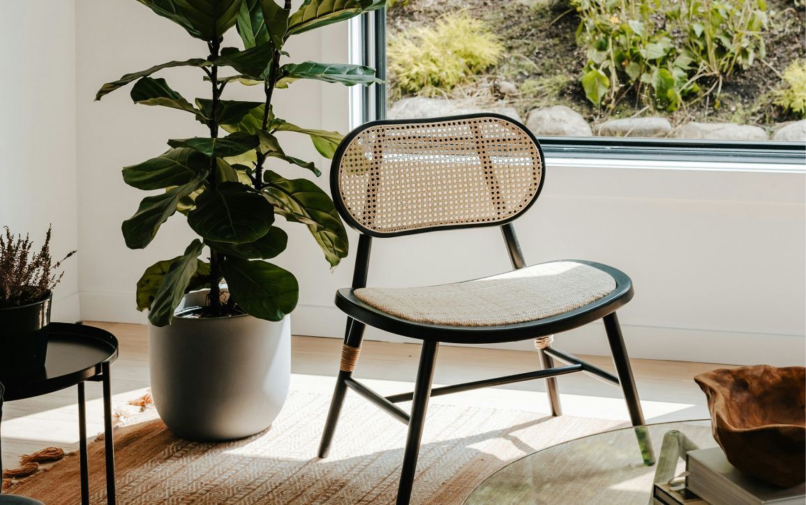 A chair is sitting in a living room next to a potted plant.