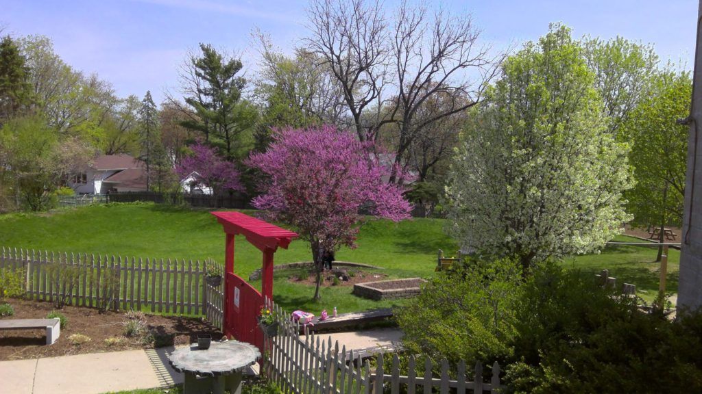 A red gate opens to a green yard with a purple blooming tree, white flowering trees and a house on a small hill.