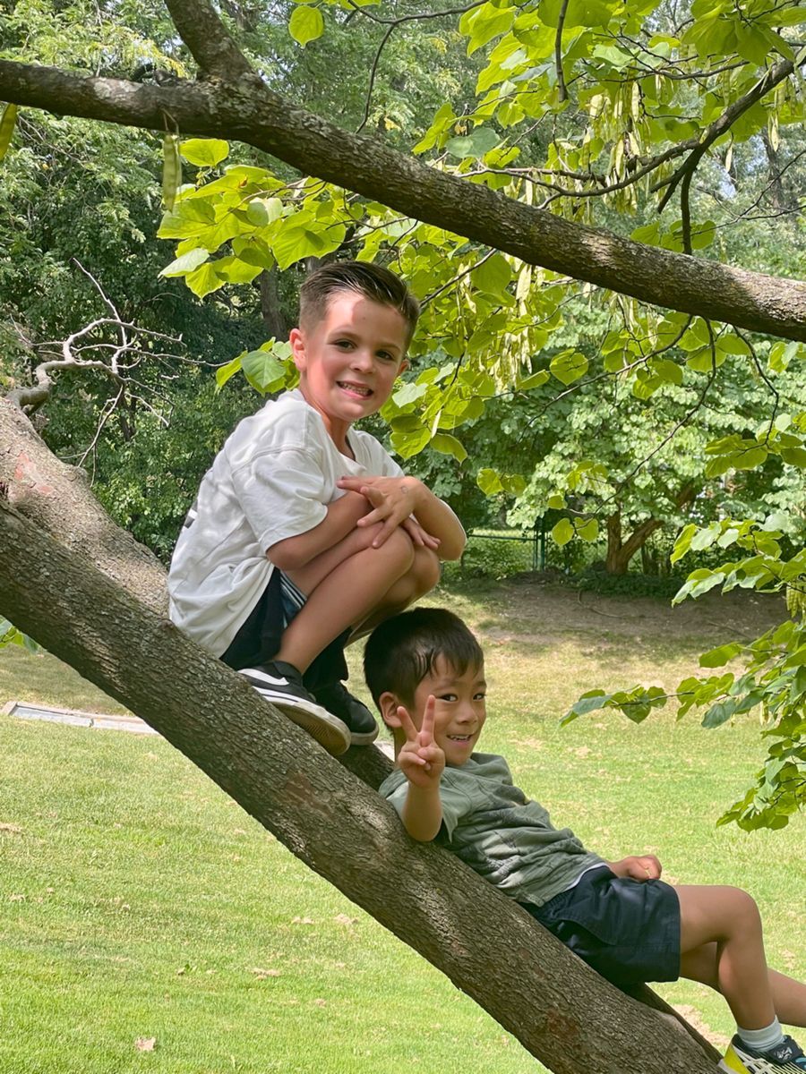Two boys perched on a tree branch; one smiling, one giving a peace sign. Green grass and foliage in the background.