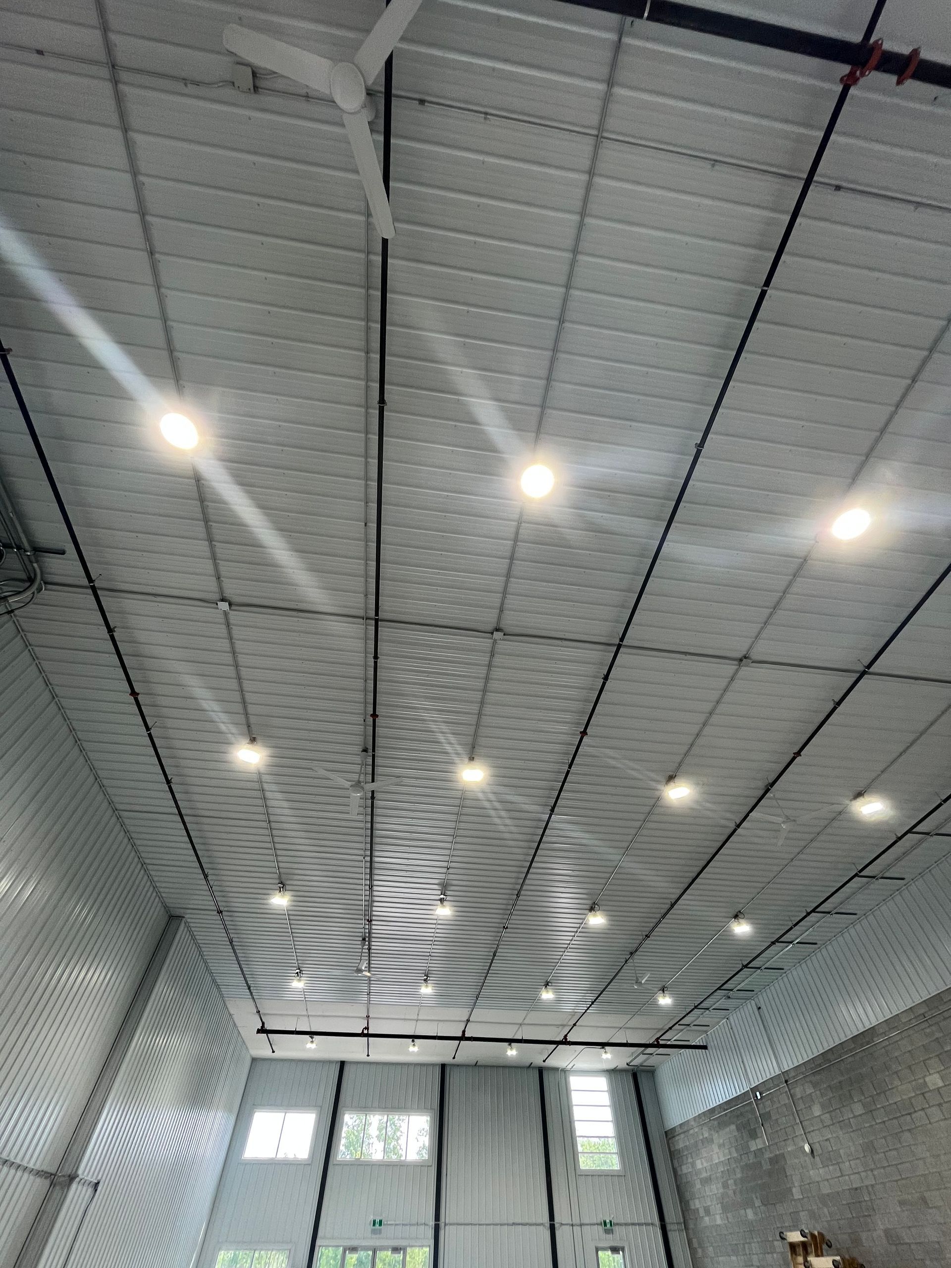 Le plafond d'un bâtiment avec beaucoup de lumières dessus.