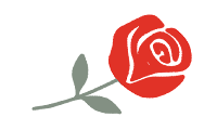 Red rose with green stem and leaves on white background.