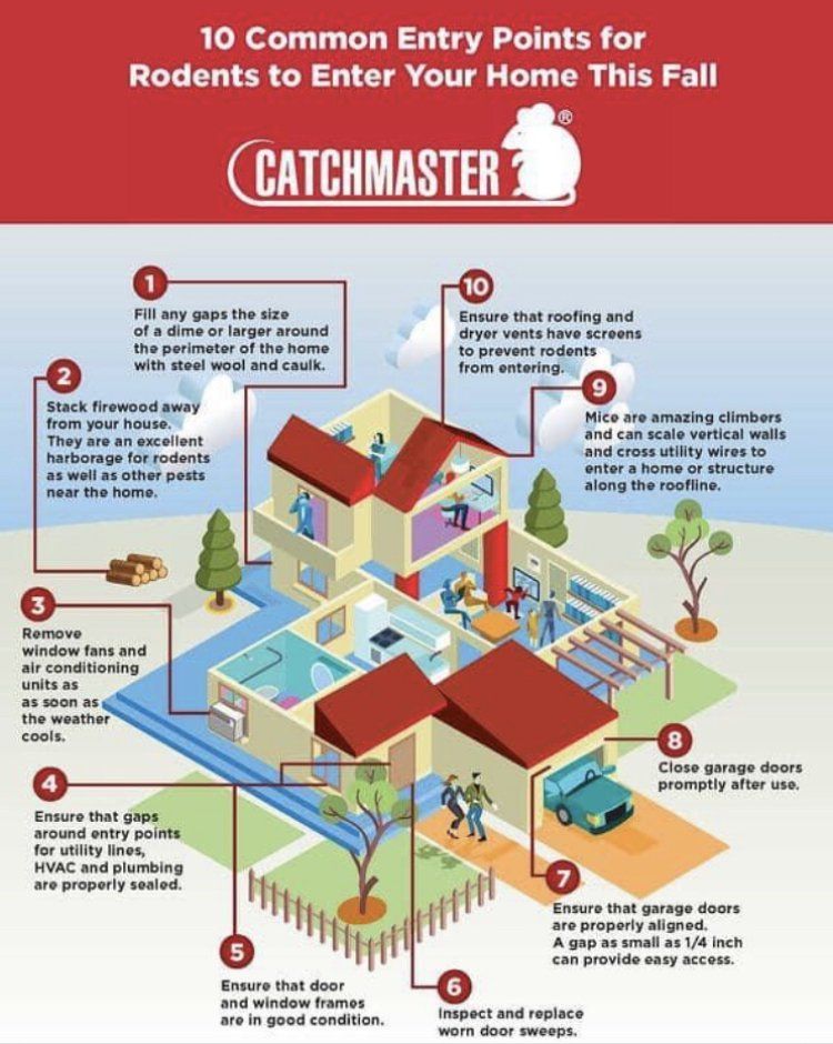 Catchmaster Rodents Entry Points