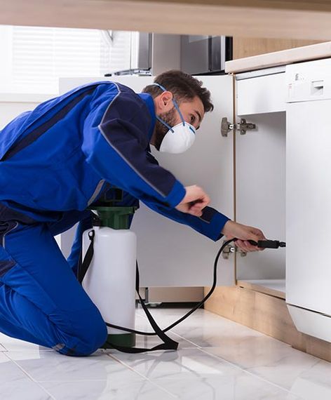Residential Pest Control Services in New York