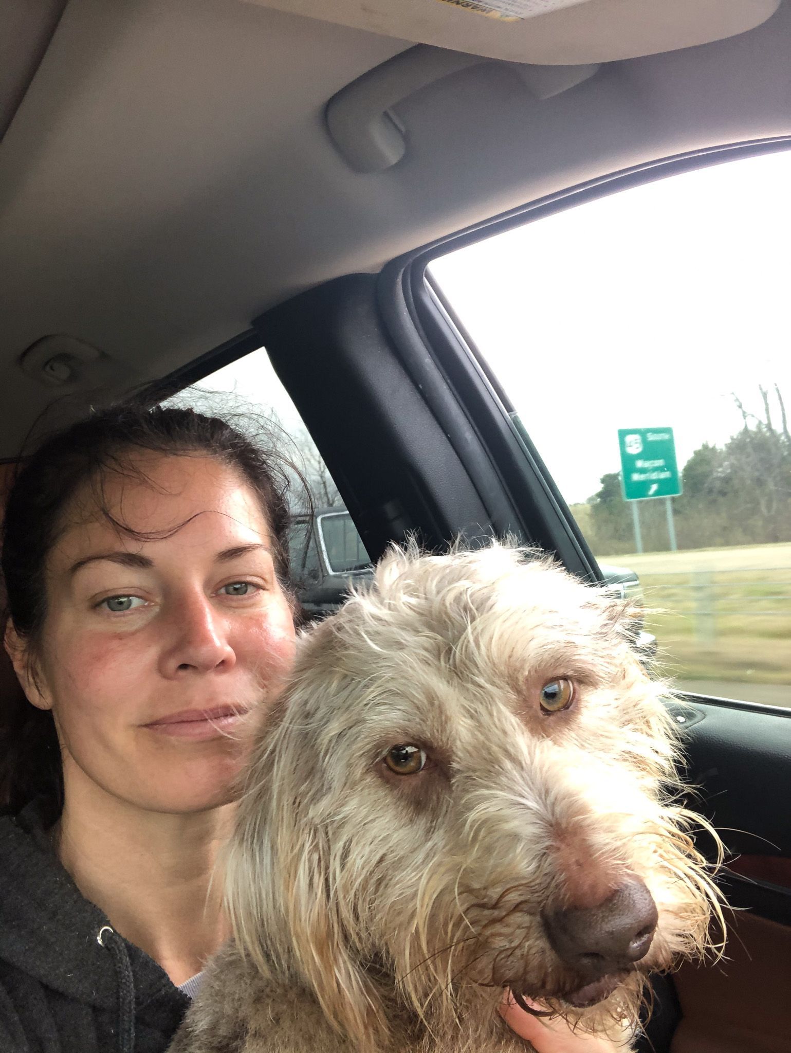 A person sits in the passenger seat of a car with a shaggy, light-brown dog beside them; a highway sign is visible outside.