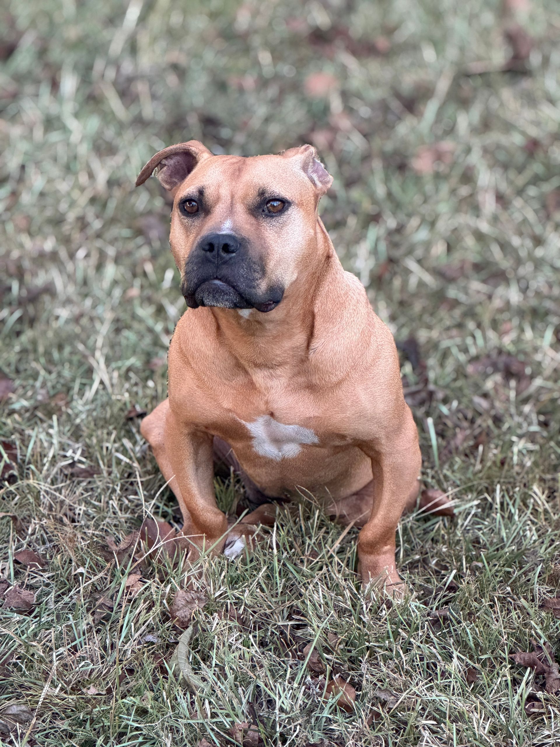 A group of children gathered indoors, smiling near a dog, with a couch and television in the background.