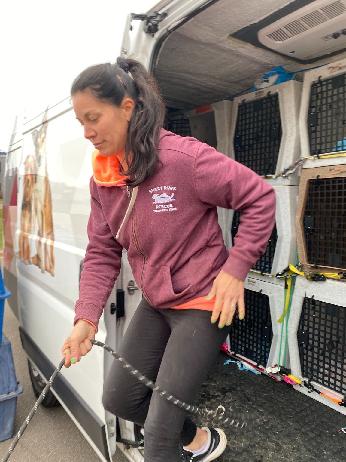 A person in a maroon hoodie steps out of a van outfitted with stacked animal crates, holding a leash.