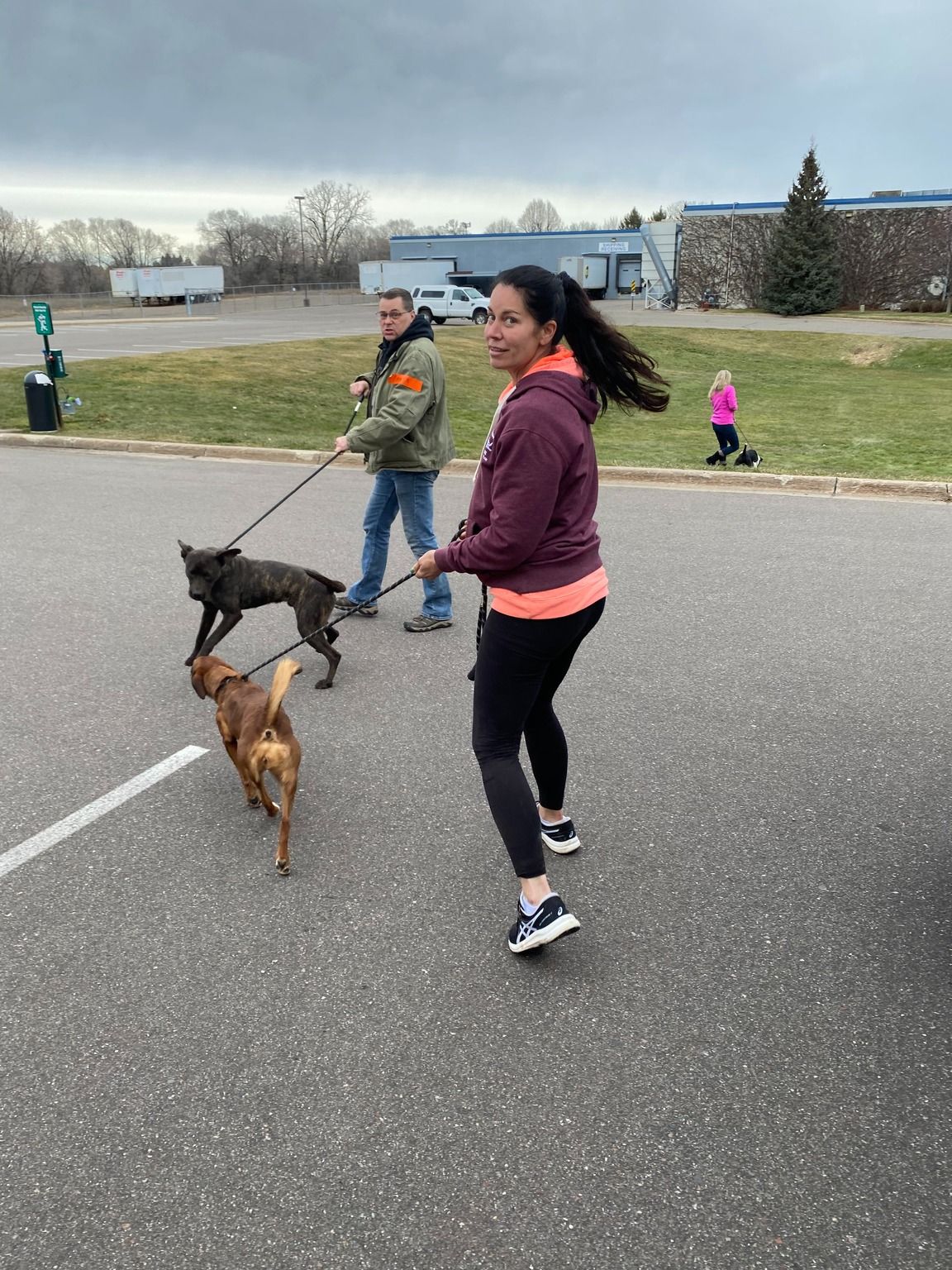 A person wearing a maroon hoodie and leggings walks two dogs in a parking lot while another person walks a dog nearby.