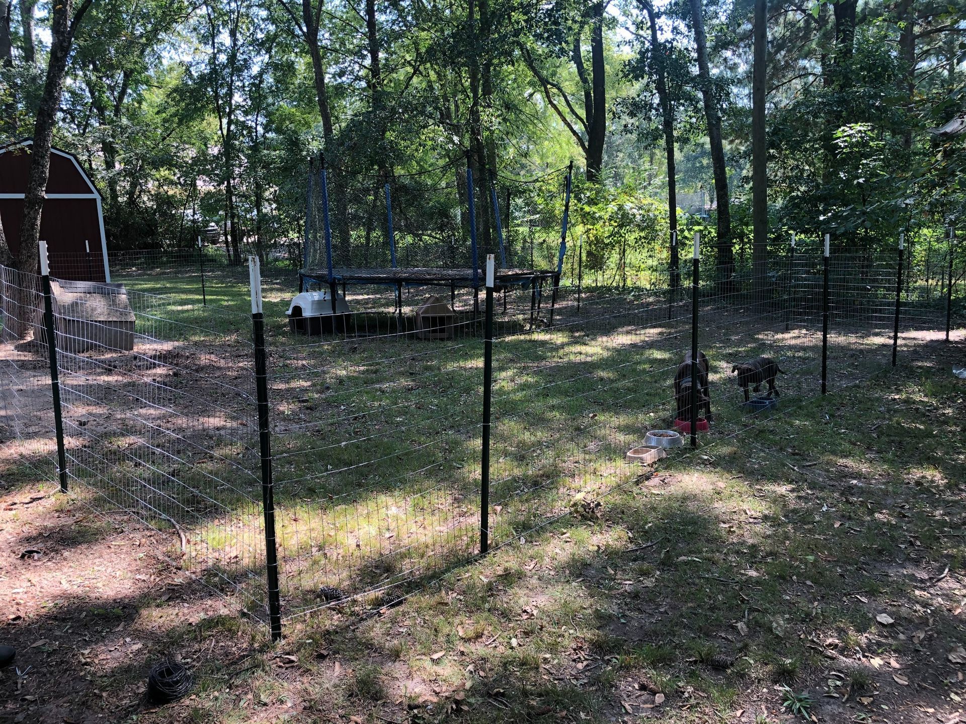 A fenced backyard area with trees, a small shed, and two dogs near a tall metal post.