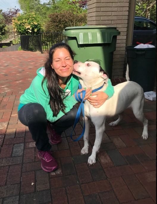 A person in a bright green hoodie crouching outdoors on a brick patio, smiling as a white dog licks their cheek.