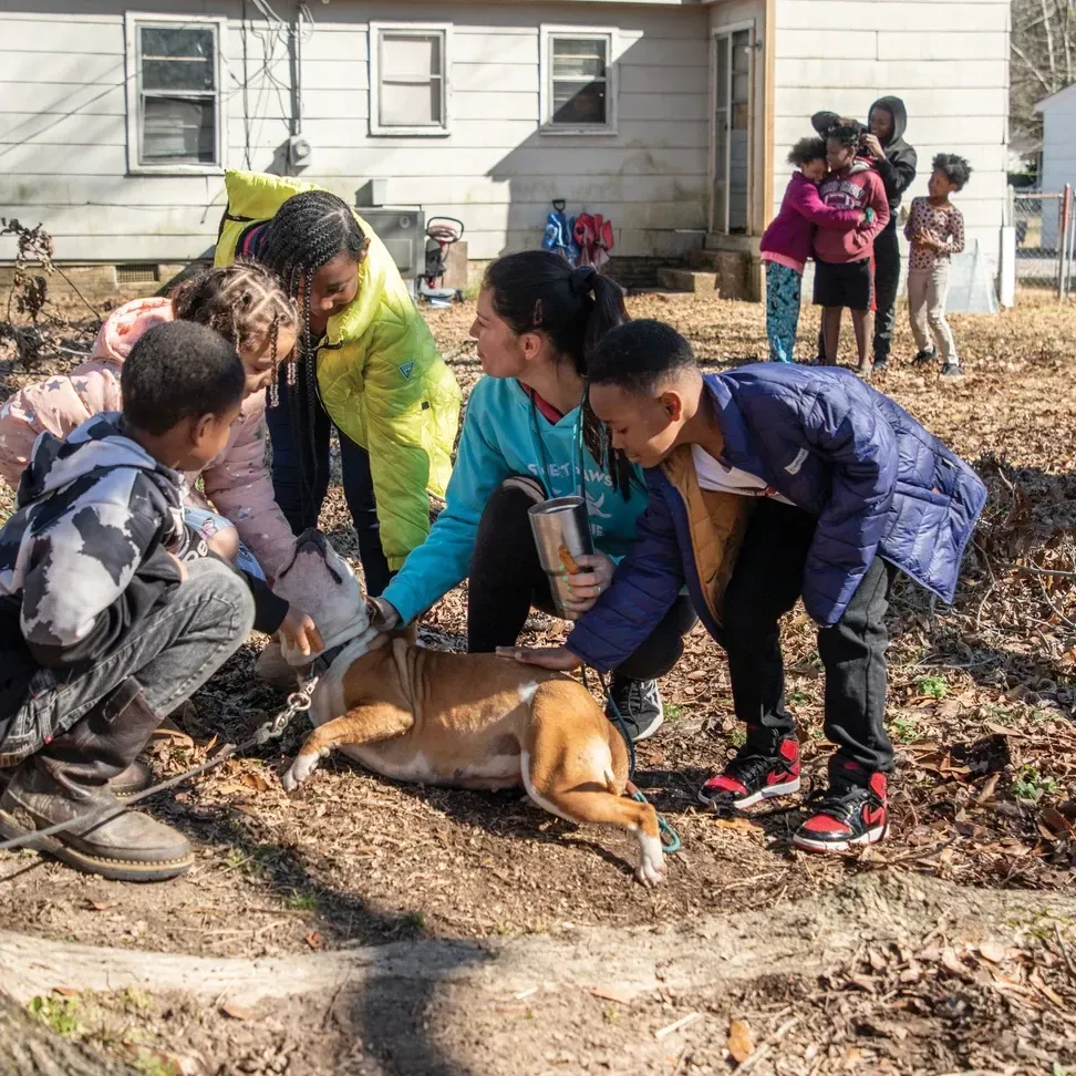 A group gathers outside a house, petting and tending to a brown dog lying on the ground.