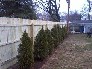 White Gothic Fence — Toledo, OH — Patriot Fence