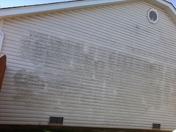 Green Algae on vinyl siding of a 1 story house