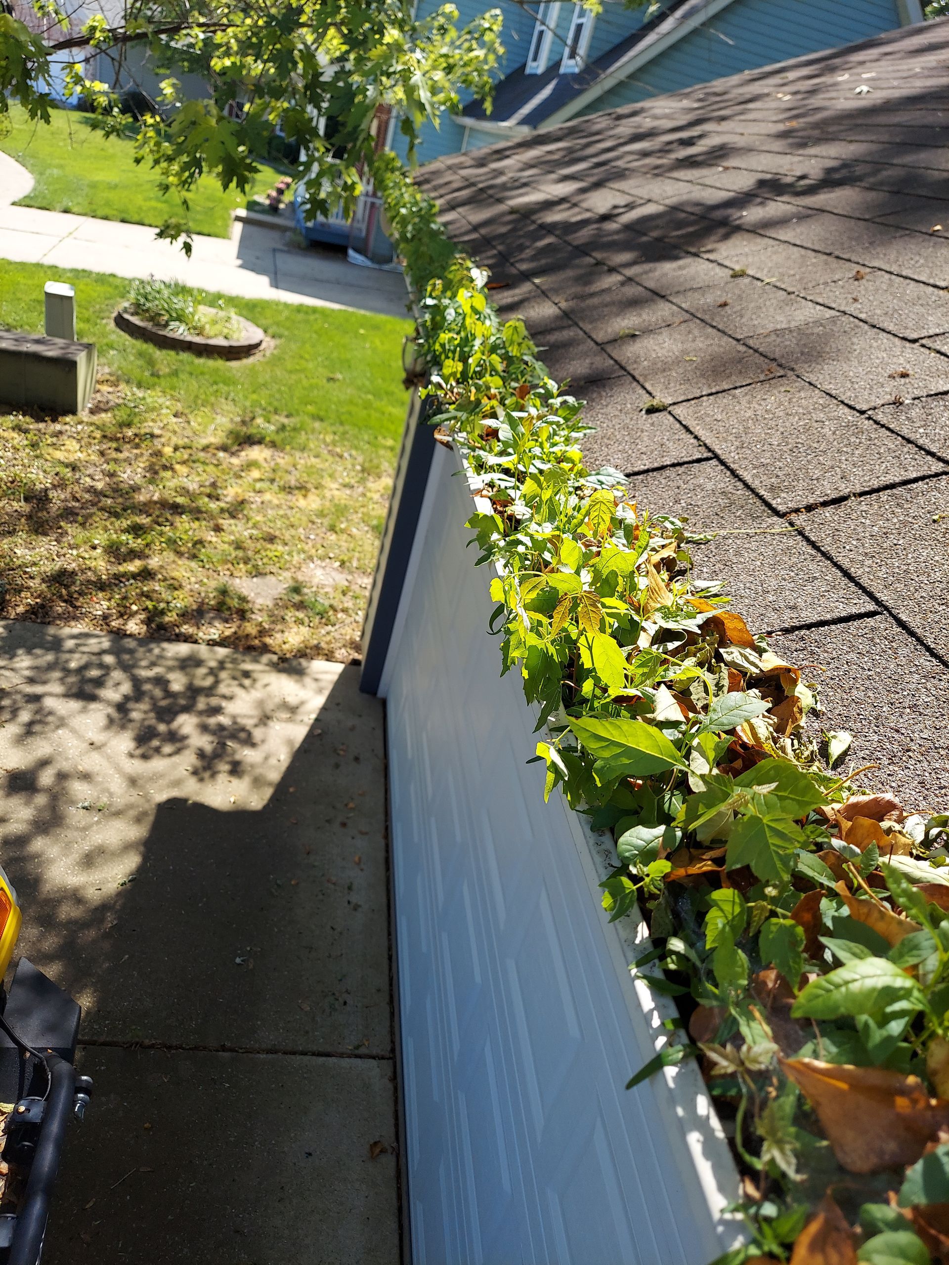 Call SprytNa at 618-365-1983 Gutter Cleaning Belleville & Metro East, IL