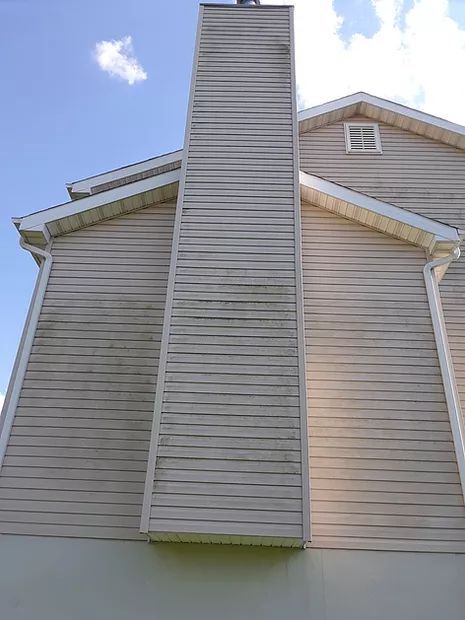 2 Story house with green algae on the vinyl siding and chimney