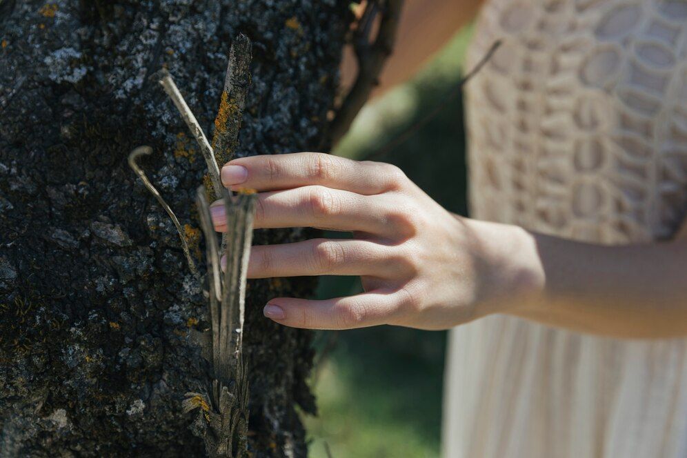 Woman touching tree trunk