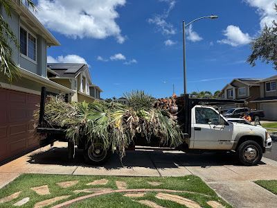 Oahu tree trimming palm tree service Oahu tree trimming palm tree service