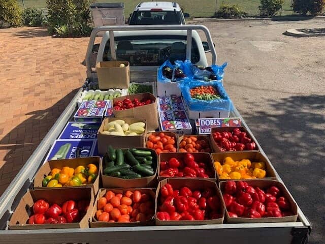 Fresh Fruit & Vegetables — Child Care in Bowen, QLD
