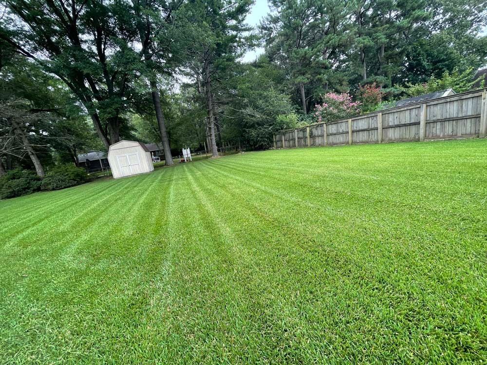 Lawn freshly mowed with stripes, shed in the background, fence at the far end of the yard. Green grass and trees.