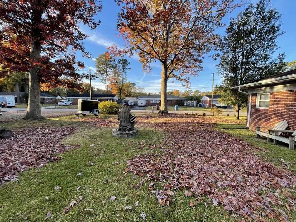 Yard with fallen autumn leaves, small buildings, and trees under a blue sky.