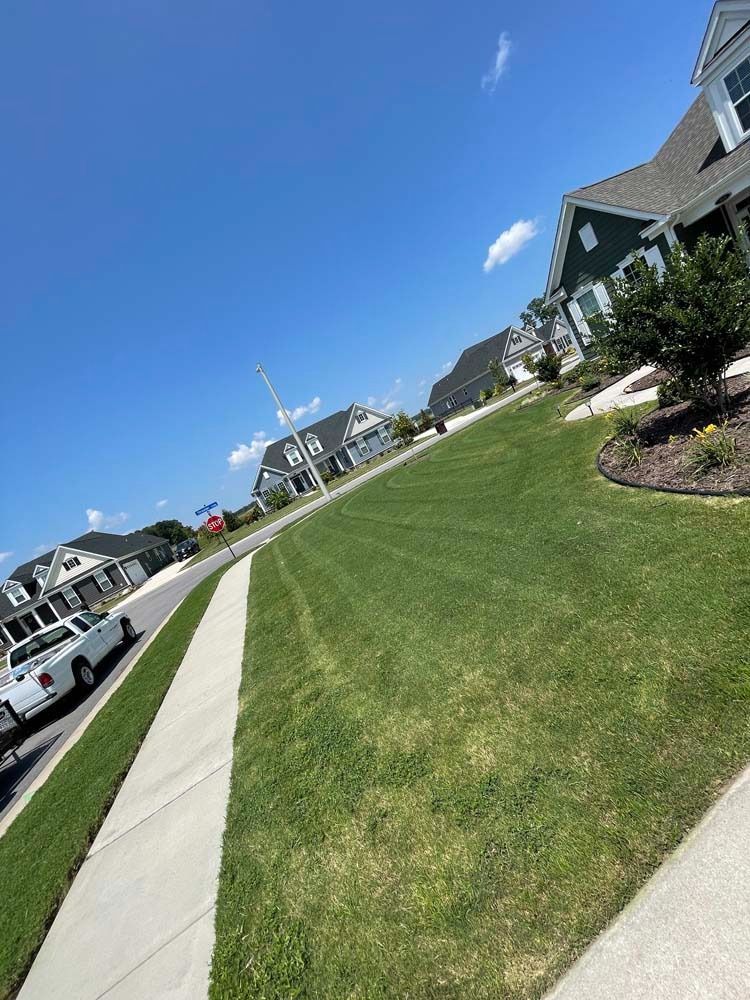 Lawn with freshly cut stripes next to sidewalk in a residential neighborhood on a sunny day.