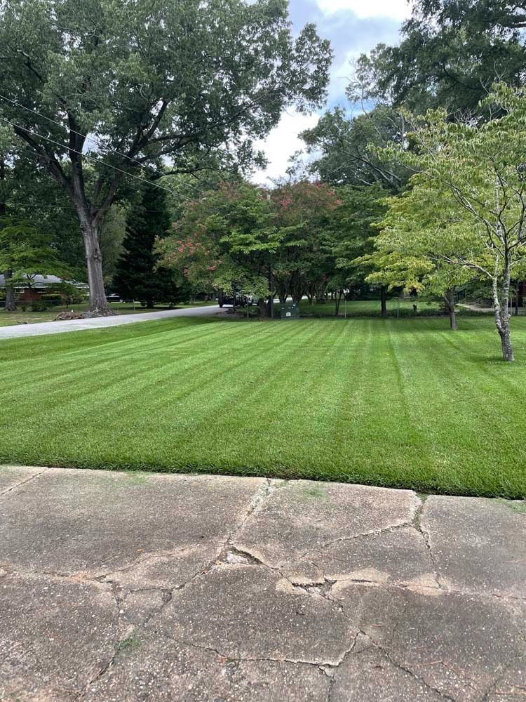 Lawn with neatly cut stripes, surrounded by trees and a cracked sidewalk.