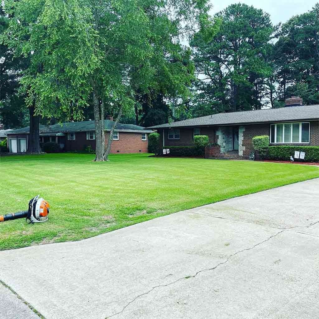 A well-manicured lawn with houses in the background; a leaf blower is on the lawn.