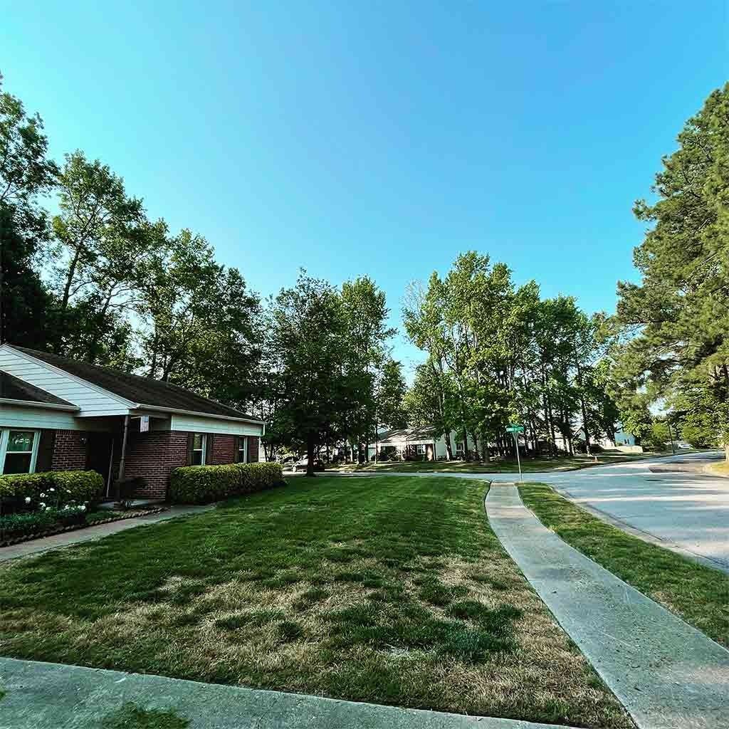 A sunny day in a suburban neighborhood with trees, grass, a sidewalk, and houses.
