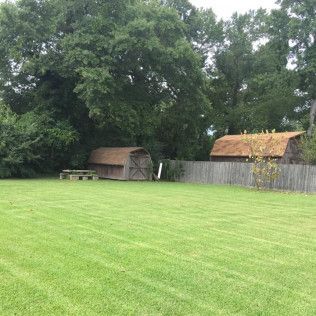 Green yard with two brown sheds in the distance, surrounded by trees and a wooden fence.