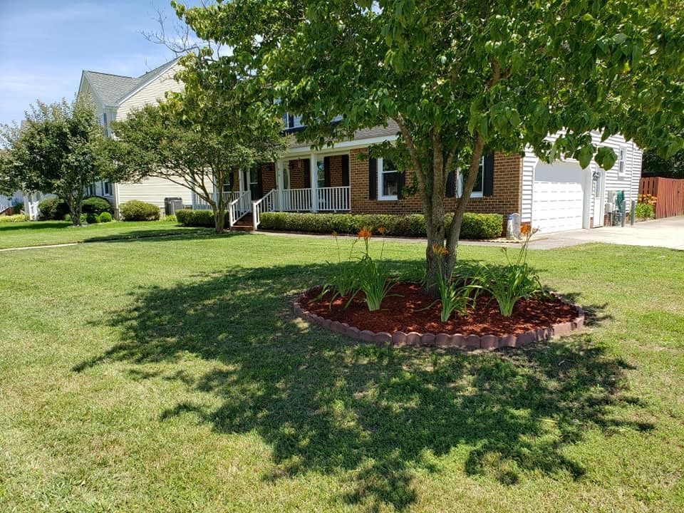 A house with a front lawn and a tree with flowers in a mulch bed, sunny day.