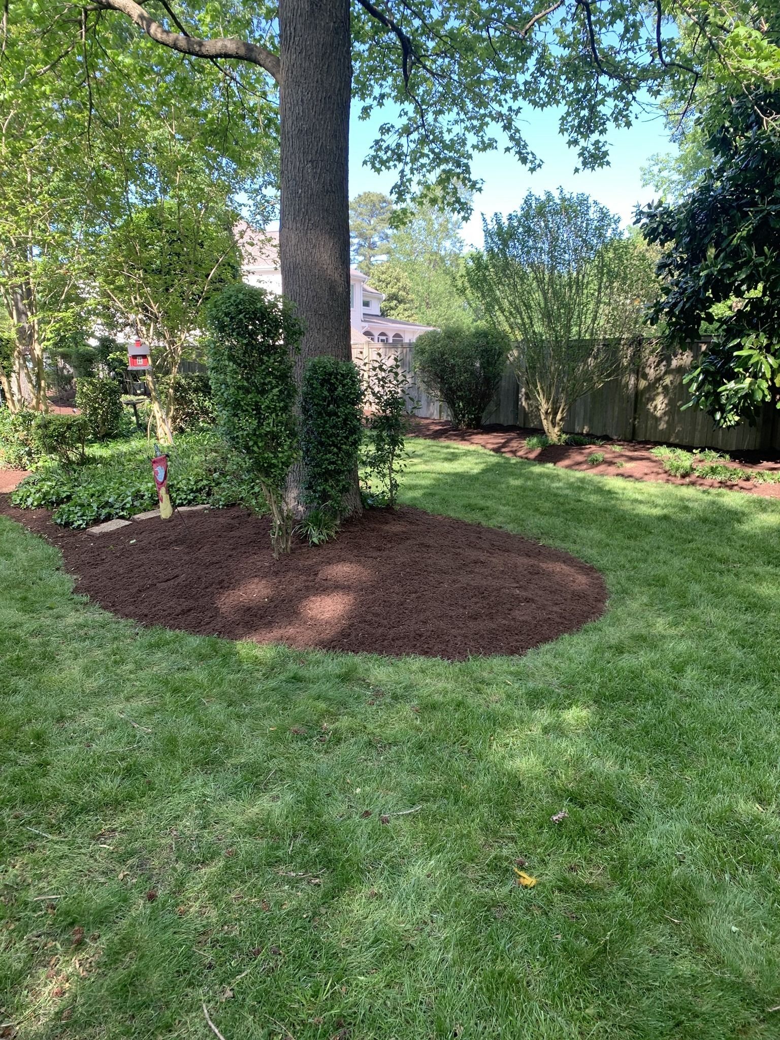 Tree trunk surrounded by brown mulch in a grassy yard.