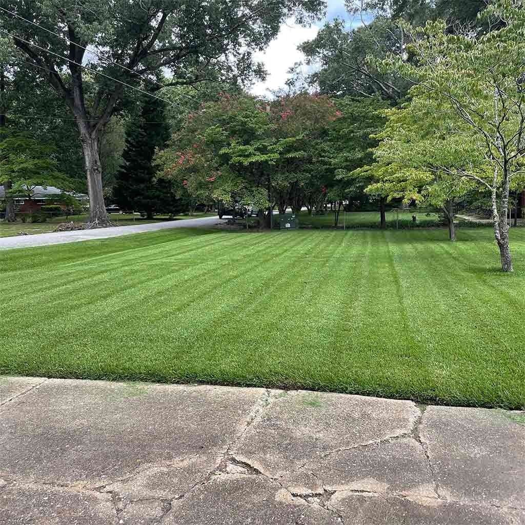 Well-maintained lawn with neatly mowed stripes, trees in the background, and a cracked concrete surface in the foreground.